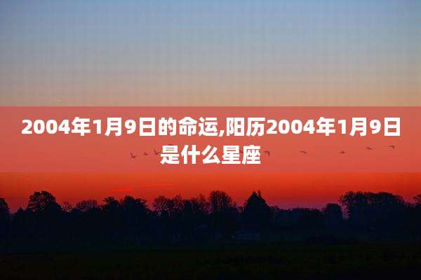 2004年1月9日的命运,阳历2004年1月9日是什么星座