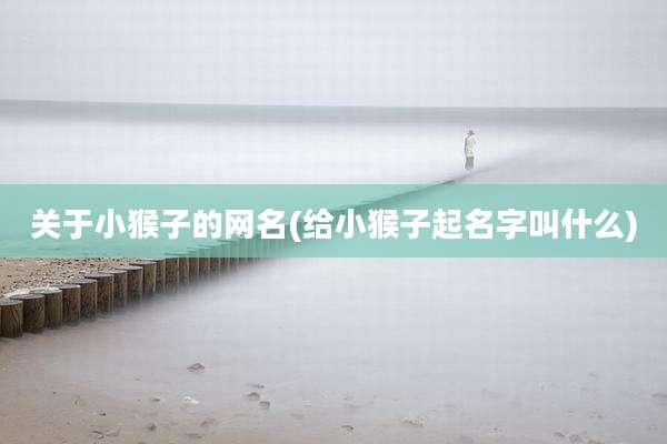 关于小猴子的网名(给小猴子起名字叫什么)