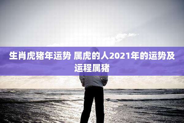 生肖虎猪年运势 属虎的人2021年的运势及运程属猪