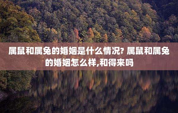 属鼠和属兔的婚姻是什么情况? 属鼠和属兔的婚姻怎么样,和得来吗
