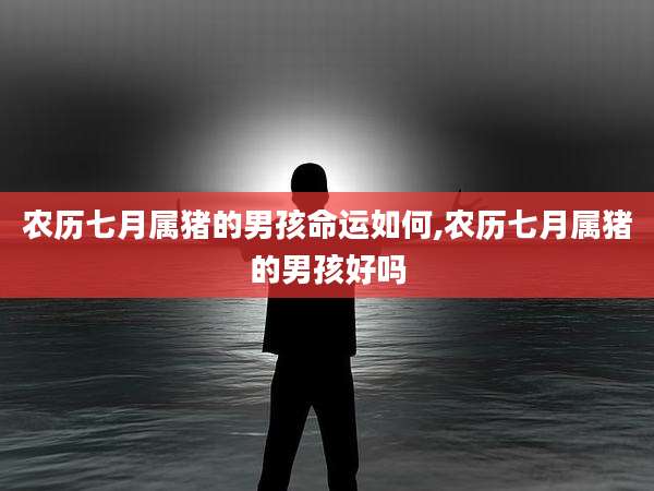 农历七月属猪的男孩命运如何,农历七月属猪的男孩好吗