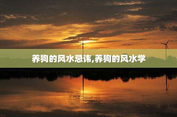 养狗的风水忌讳,养狗的风水学