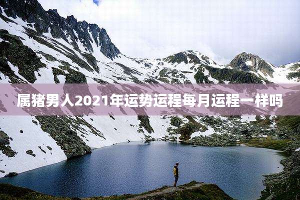 属猪男人2021年运势运程每月运程一样吗