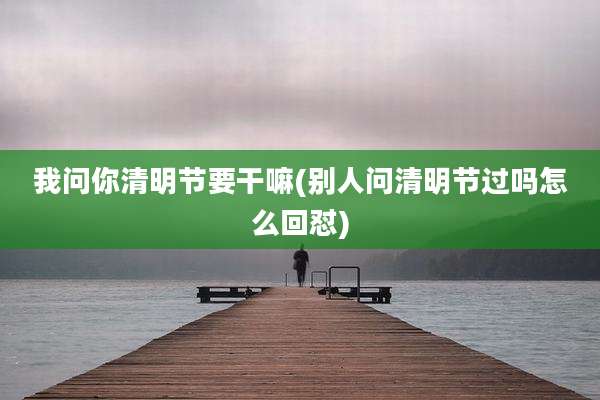 我问你清明节要干嘛(别人问清明节过吗怎么回怼)