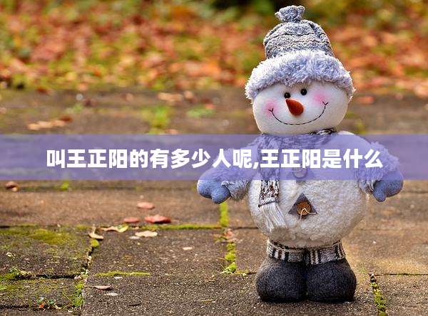 叫王正阳的有多少人呢,王正阳是什么