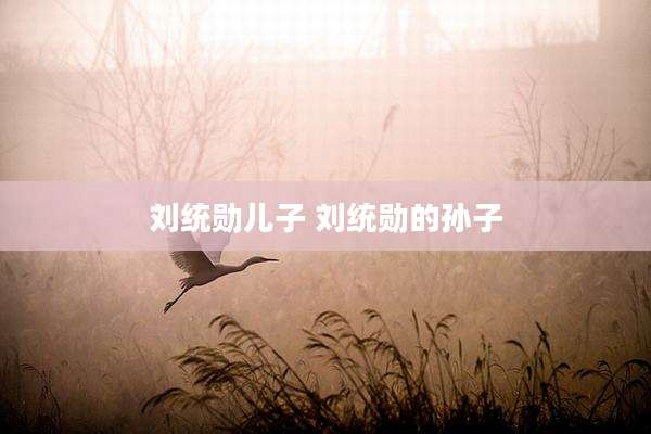 刘统勋儿子 刘统勋的孙子