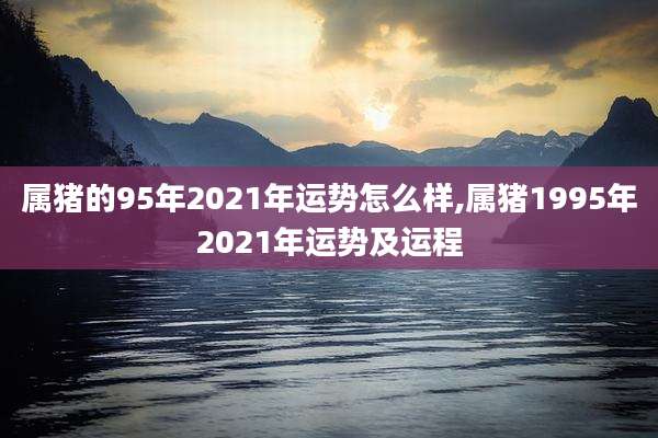 属猪的95年2021年运势怎么样,属猪1995年2021年运势及运程