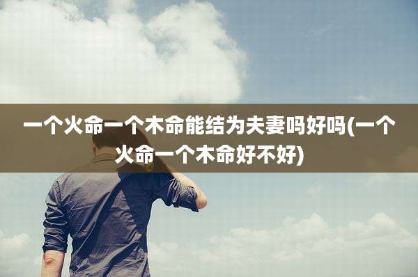 一个火命一个木命能结为夫妻吗好吗(一个火命一个木命好不好)