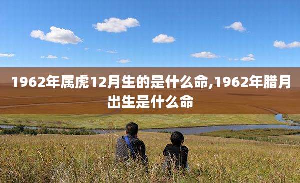 1962年属虎12月生的是什么命,1962年腊月出生是什么命