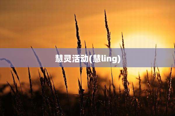 慧灵活动(慧ling)