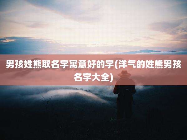男孩姓熊取名字寓意好的字(洋气的姓熊男孩名字大全)