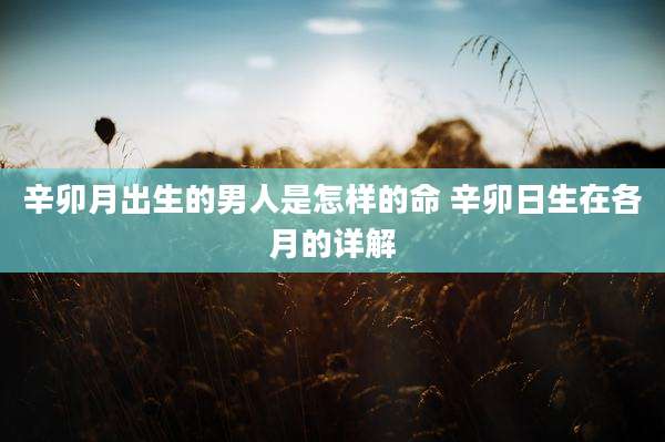 辛卯月出生的男人是怎样的命 辛卯日生在各月的详解