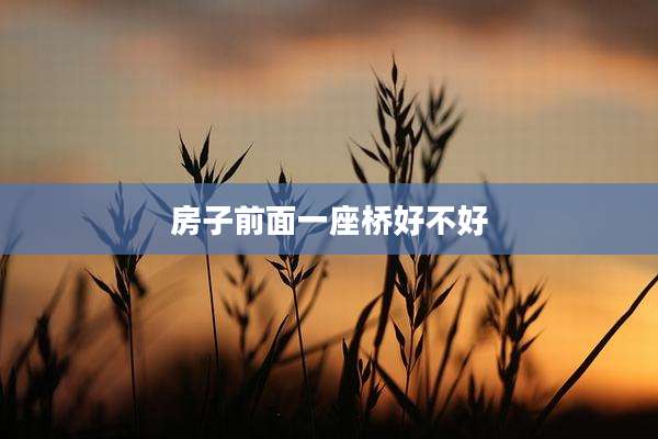 房子前面一座桥好不好