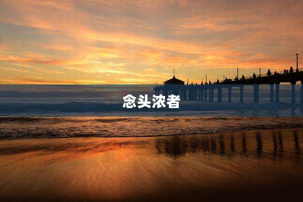 念头浓者