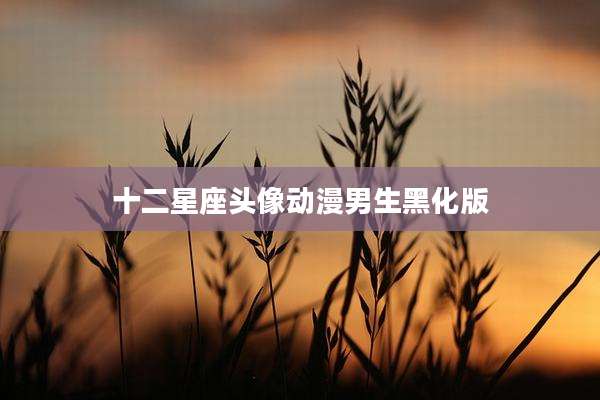 十二星座头像动漫男生黑化版