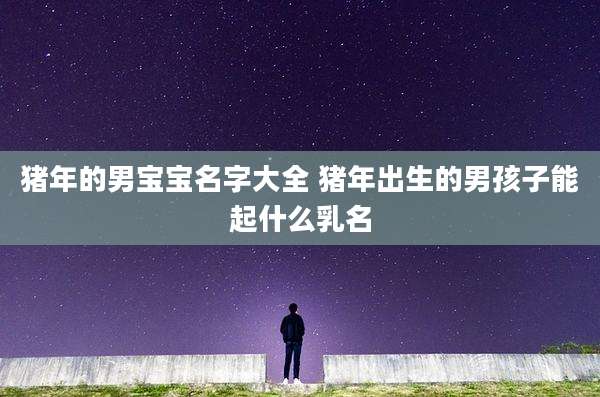 猪年的男宝宝名字大全 猪年出生的男孩子能起什么乳名