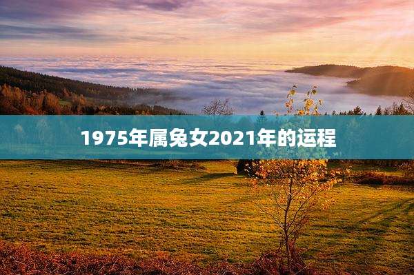 1975年属兔女2021年的运程