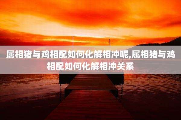 属相猪与鸡相配如何化解相冲呢,属相猪与鸡相配如何化解相冲关系