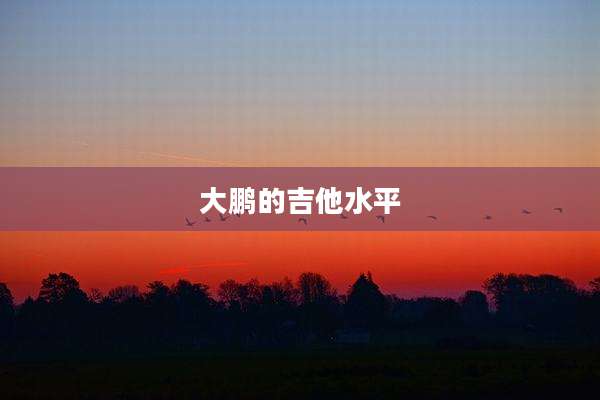 大鹏的吉他水平