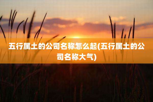五行属土的公司名称怎么起(五行属土的公司名称大气)