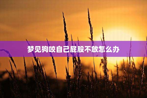 梦见狗咬自己屁股不放怎么办