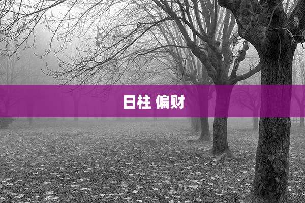日柱 偏财