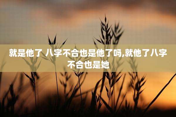 就是他了 八字不合也是他了吗,就他了八字不合也是她