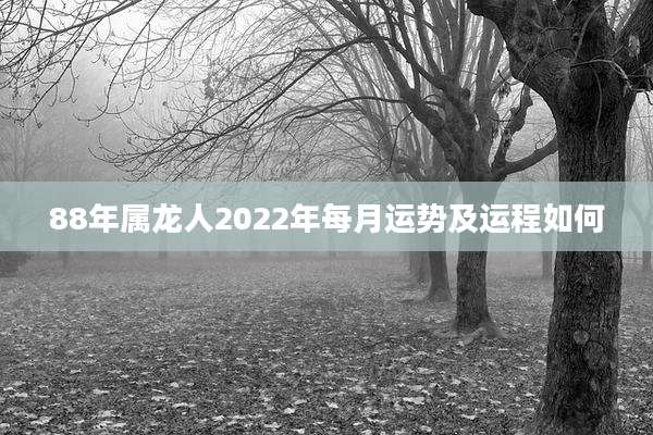 88年属龙人2022年每月运势及运程如何