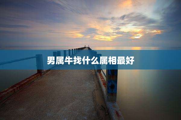 男属牛找什么属相最好