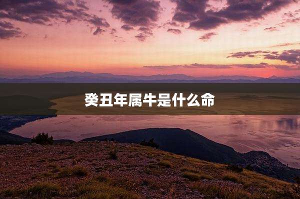 癸丑年属牛是什么命