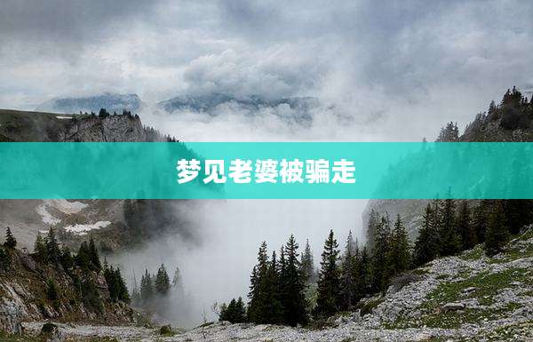 梦见老婆被骗走