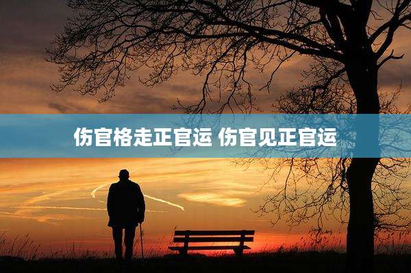 伤官格走正官运 伤官见正官运