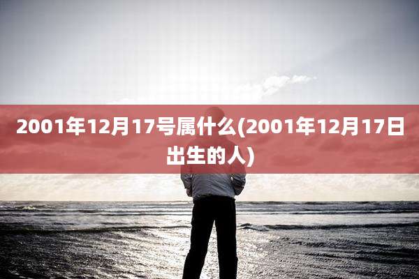 2001年12月17号属什么(2001年12月17日出生的人)