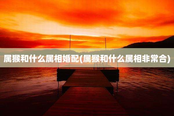 属猴和什么属相婚配(属猴和什么属相非常合)