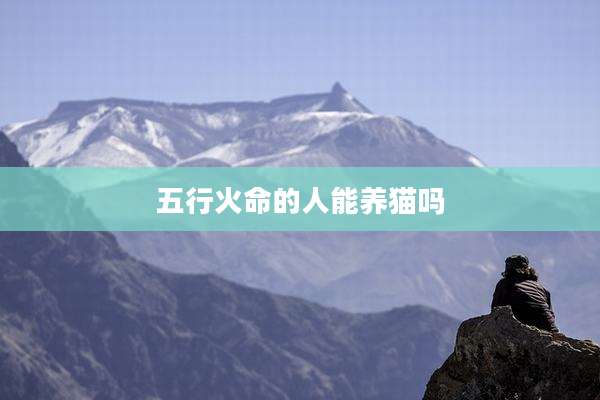 五行火命的人能养猫吗