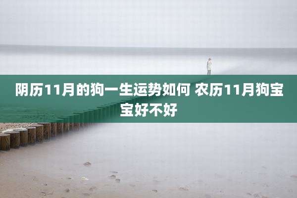 阴历11月的狗一生运势如何 农历11月狗宝宝好不好