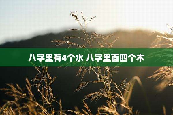 八字里有4个水 八字里面四个木