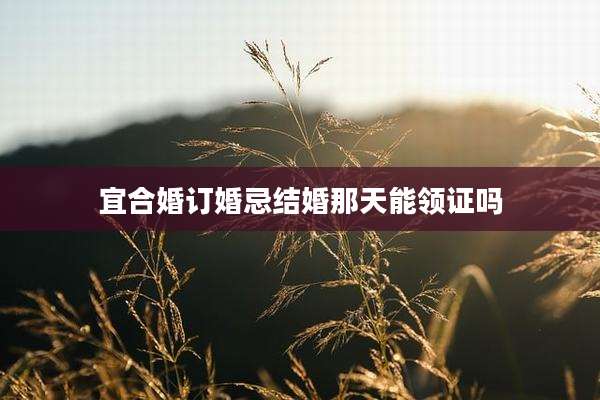 宜合婚订婚忌结婚那天能领证吗