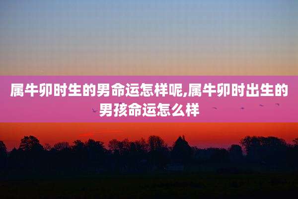 属牛卯时生的男命运怎样呢,属牛卯时出生的男孩命运怎么样