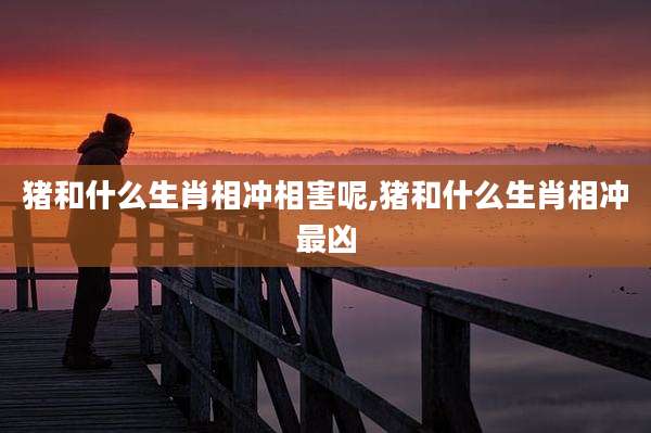 猪和什么生肖相冲相害呢,猪和什么生肖相冲最凶
