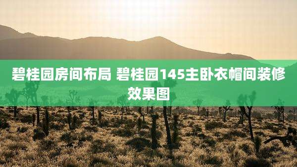碧桂园房间布局 碧桂园145主卧衣帽间装修效果图