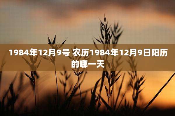 1984年12月9号 农历1984年12月9日阳历的哪一天