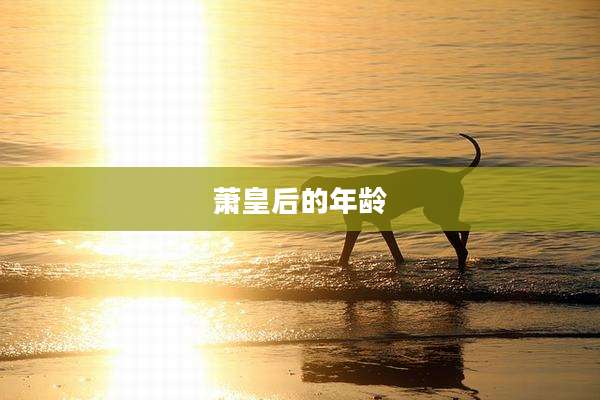 萧皇后的年龄