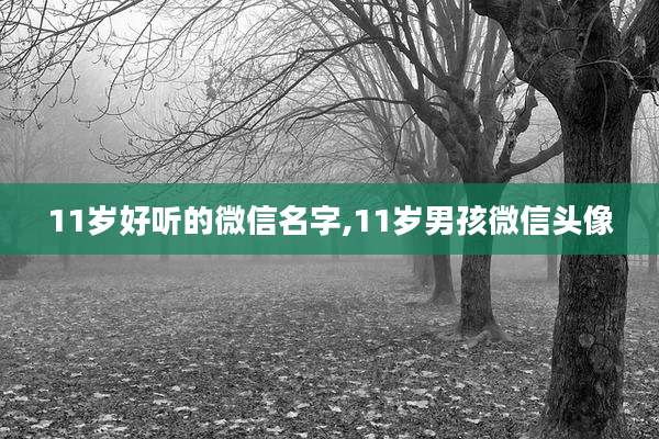 11岁好听的微信名字,11岁男孩微信头像