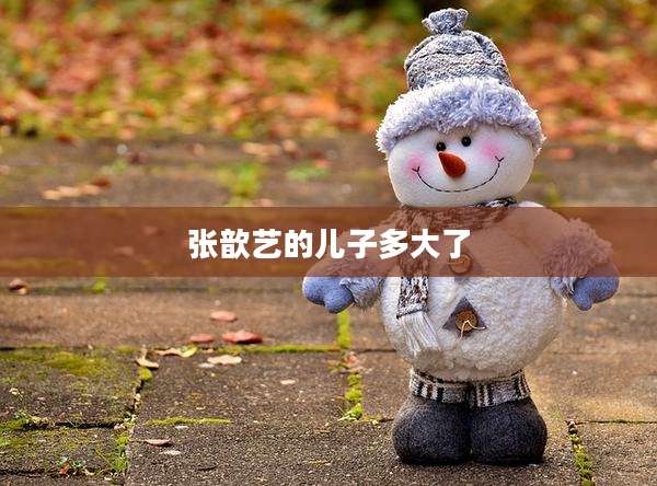 张歆艺的儿子多大了