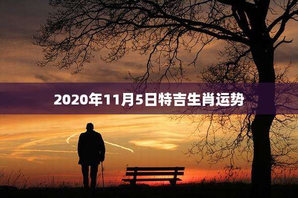 2020年11月5日特吉生肖运势