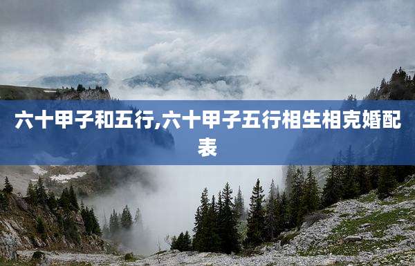 六十甲子和五行,六十甲子五行相生相克婚配表