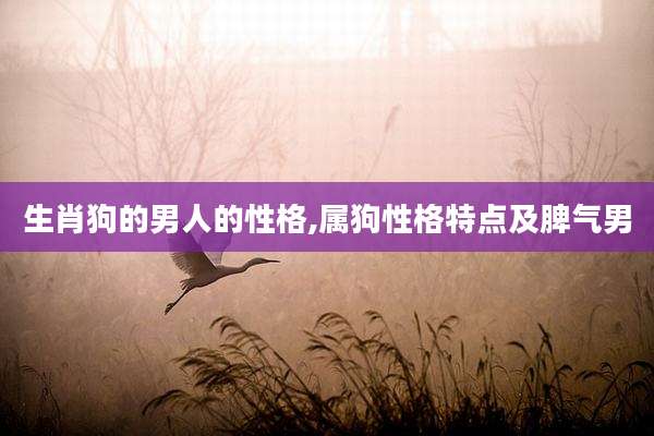 生肖狗的男人的性格,属狗性格特点及脾气男