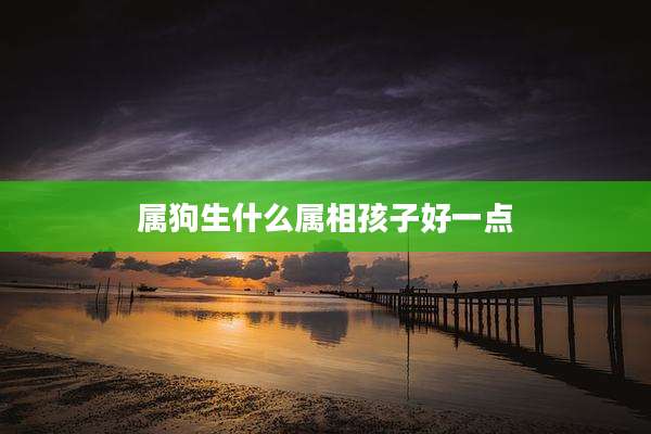 属狗生什么属相孩子好一点