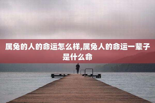 属兔的人的命运怎么样,属兔人的命运一辈子是什么命